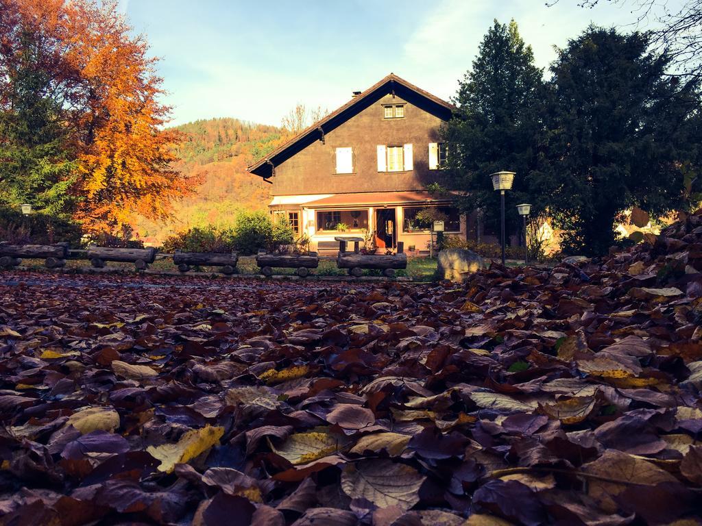 Le Chalet Luttenbach-près-Munster Kültér fotó